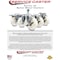 Service Caster 3'' Nylon Wheel Swivel 7/16'' Grip Ring Stem Caster Set 2 Brakes, 4PK SCC-GR20S314-NYS-PLB-716138-2-S-2 - alternate 4